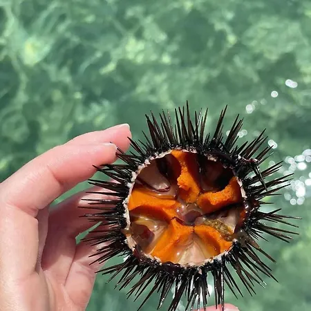 Apartamento Dimora La Pinta ‘700