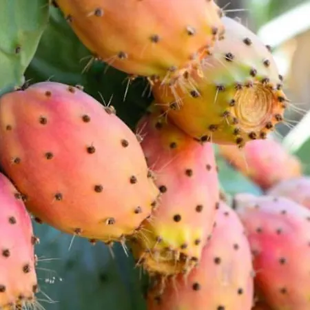 Apartman Dimora La Pinta '700 *