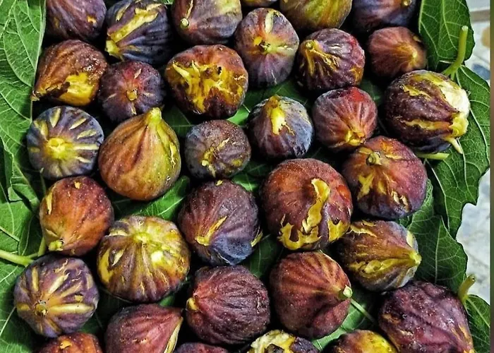 Lejlighed Dimora La Pinta '700 Gallipoli