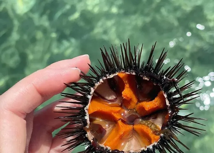 Apartment Dimora La Pinta '700